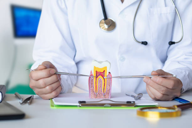 Best Emergency Root Canal Treatment in Centerville, PA